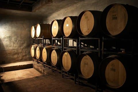 Walking the Wine Roads with Tasting