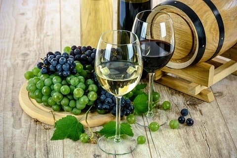Degustação em Valle de Uco, Mendoza, Vinícolas com Sedan Privado