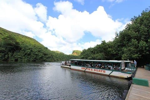 Excursión en crucero por Kauai: río Wailua y Fern Grotto