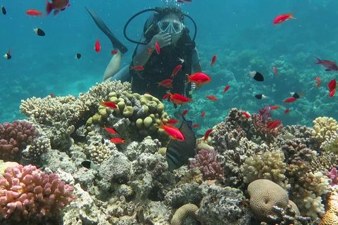 viaje de buceo a la isla de tiran