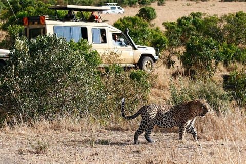 4 Days Aberdare, Lake Nakuru, Lake Naivasha Safari (minimum 2 personer)