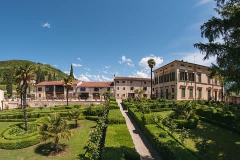 Amarone, el gran rojo revelado