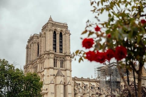 Tour privado: secretos de Notre Dame y Barrio Latino con un local