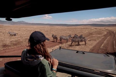 4 - Days Private Luxury Safari Zanzibar Fly-In – au départ de Zanzibar