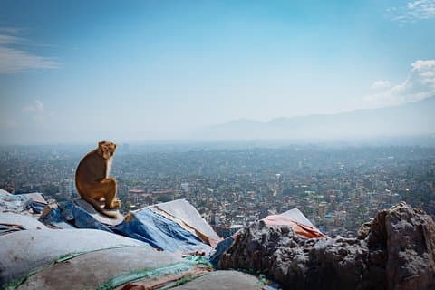 4 dages Kathmandu-tur med Everest Flight