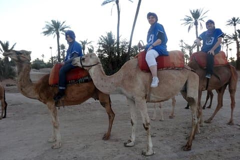 Giro in cammello di 1 ora a Marrakech Palmeraie