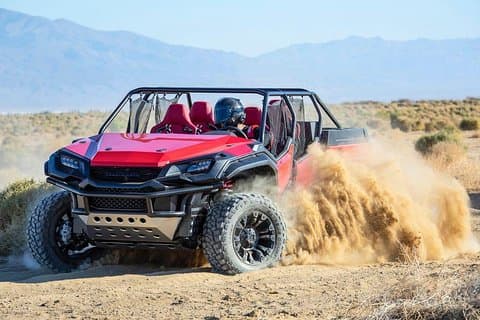 Morgen Auto Buggy Hurghada