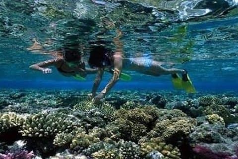 Dagduiktocht naar Hamata Island vanuit Marsa Alam