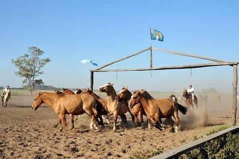 Gaucho Fiesta met lunch - dagtour voor cruisepassagiers