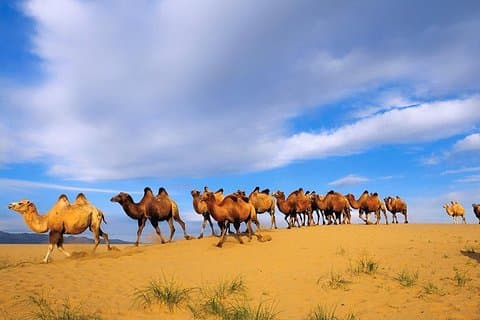 Nationaal bezoek Agadir Souss Massa Park