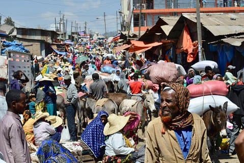 Half day Addis Ababa Excursions- complete experience guaranteed