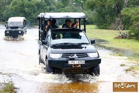 Glamping & Safari - Wilpattu National Park