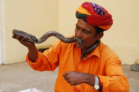 Meilleure offre du Golden Triangle Tour - India