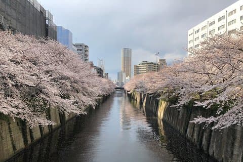 En drømmende og deilig dag i Tokyo