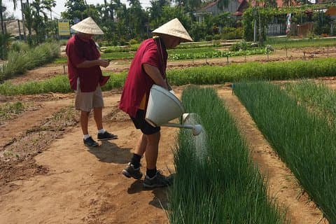 Tra Que Vegetable Village & Cooking Class