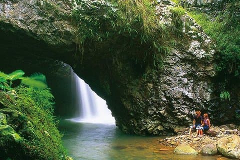 Natural Bridge Glow Worm Night Tour from Gold Coast