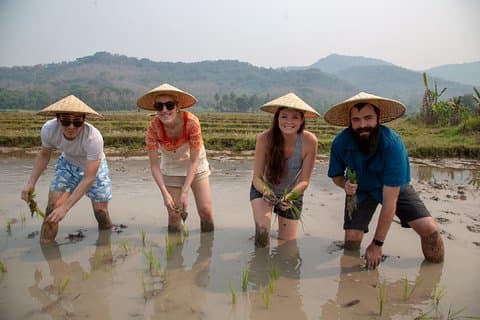 Luang Prabang: Kuang Si Waterfall & Rice Farm Tour