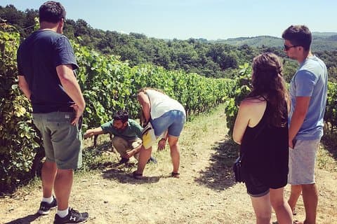Excursão privada ao vinho Chianti