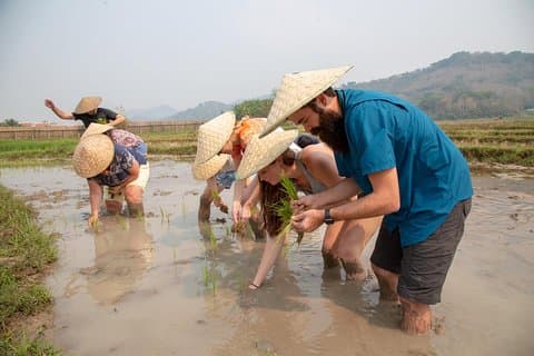 Living Land Rice Farming Experience