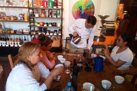 Disfrute de los senderos en los cafetales del Pueblo Mágico de Coatepec.