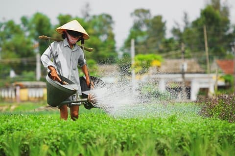 Hoi An Countryside Tour med cykling, motorcykel eller bil