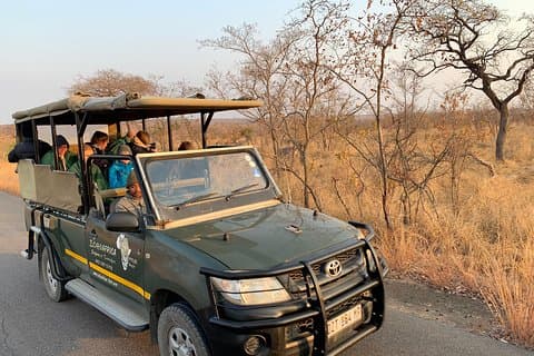 Ultieme safari naar Pilanesberg National Park vanuit Johannesburg