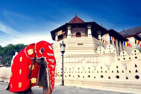 3D 2N Kandy and Sigiriya with Holiday Walkers Sri Lanka