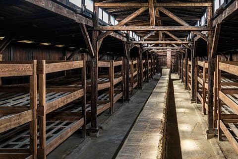 Visite d'Auschwitz-Birkenau avec transfert