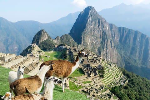 Utflykt till Machu Picchu från Cusco heldag - Privat Service