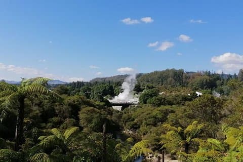 4-dages Auckland til Wellington via Rotorua Tour