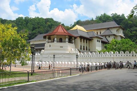 Kandy Private Tagestour von Kosgoda/Ahungalla/Bentota/Beruwala/Kaluthara