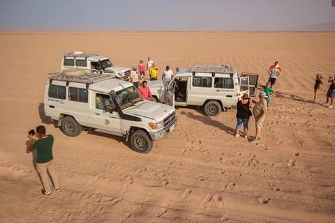 Fuld dag-ørken-safari til Sahara Park ved jeep