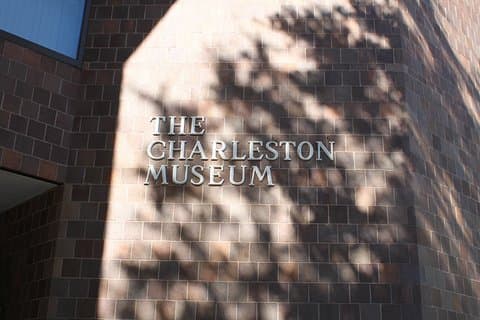 Tour della città della Gray Line con ingresso al Charleston Museum