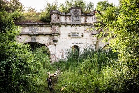 Tour privado de Bucarest abandonado en coche