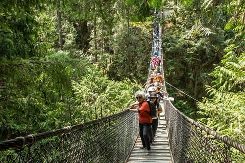 Mesmerizing Nature Walk in Lynn Canyon Park