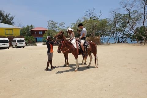 Excursão Roatan: passeio a cavalo / Plus Sloth Park e Beach Break