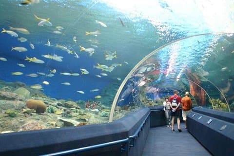 Ingresso para o mundo subaquático em Pattaya