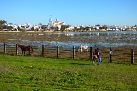 Doñana Nationalpark in 4x4 und El Rocío