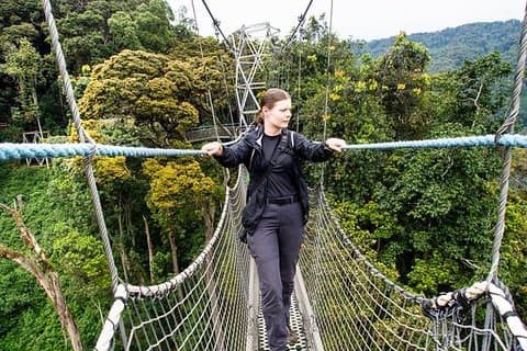 2 dagen Canopy walk en Chimpanzee trekking