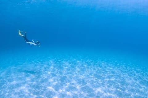 Let's swim with sea turtles in Yakushima!Snorkeling Tour