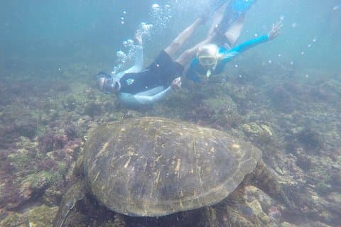 Plongée et randonnée multiaventure aux Galapagos de 5 jours
