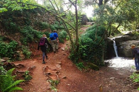 Wandeltocht met gids door Montseny vanuit Barcelona met een organisch-vriendelijke lunch
