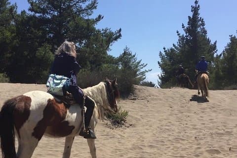Horsebackriding & BBQ Ritoque Beach&Dunes FROM VALPO Private Tour