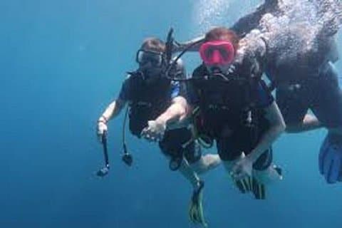 Portghalib Intro Diving Trip From Marsa Alam