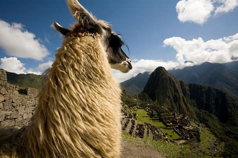 Machu Picchu dagstur Alternativ for førsteklasses tog fra Poroy