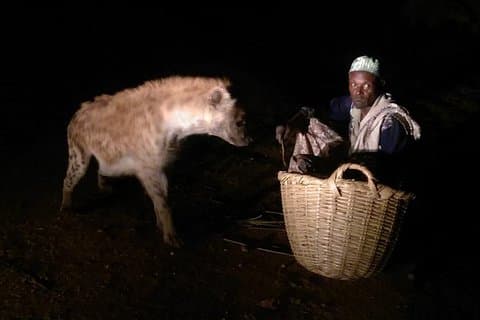 世界遺産に登録されたハラー、ダイアダワ、アワッシュナショナルパークへの5日間ツアー