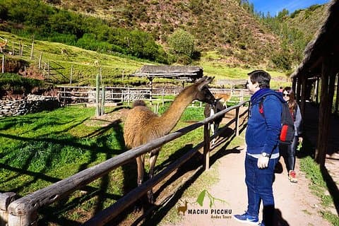 Tur til Sacred Valley: Tour Pisaq, Ollantaytambo og Chinchero.