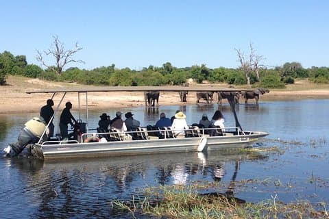 Chobe Ganztagesausflug