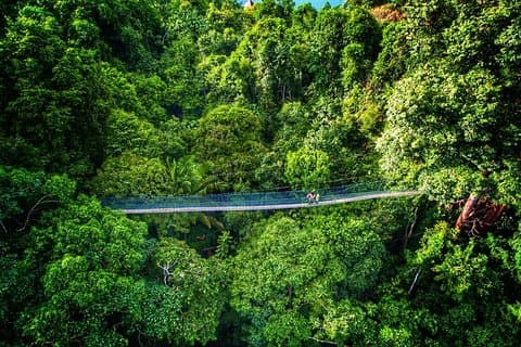 Chauffeur: Taman Negara to Singapore Van Transfer