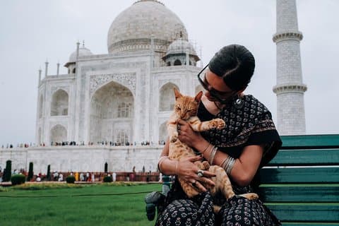 Agra Half-Day Tour of Taj Mahal and Agra Fort by Car